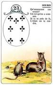 signification melle lenormand carte 23